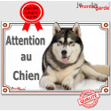 Malamute, plaque portail "Attention au Chien" 24 cm LUX