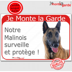 Berger Belge Malinois Tête, Plaque Portail Rouge Je Monte la Garde, surveille protège, pancarte panneau attention au chien