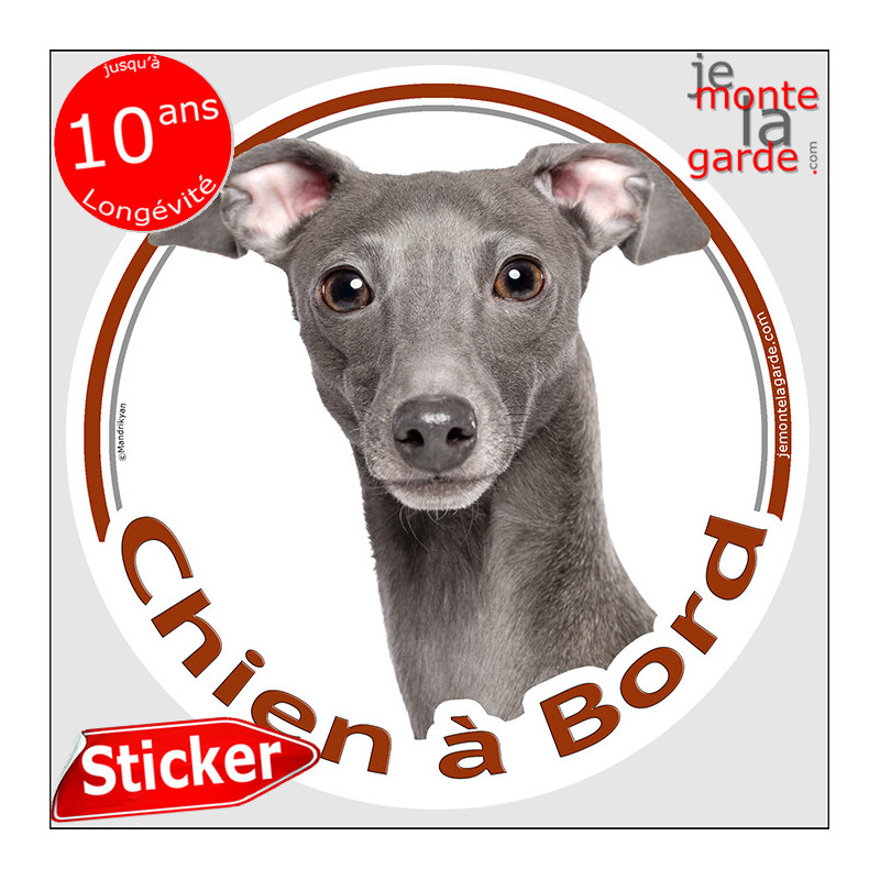 Petit Lévrier Italien gris bleu, disque photo autocollant "Chien à Bord" Sticker adhésif rond vitre voiture Levrette d'Italie Petit Lévrier Italien gris bleu, disque photo autocollant "Chien à Bord" Sticker adhésif rond vitre voiture Levrette d'Italie