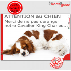 Plaque "Attention au Chien, Merci de ne pas déranger notre Cavalier King Charles blenheim" pancarte portail humour panneau