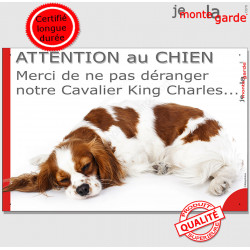Plaque "Attention au Chien, Merci de ne pas déranger notre Cavalier King Charles blenheim" pancarte portail humour panneau