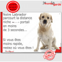 Labrador Sable, plaque humour "distance Niche-Portail 3 secondes" 24 cm 3SEC