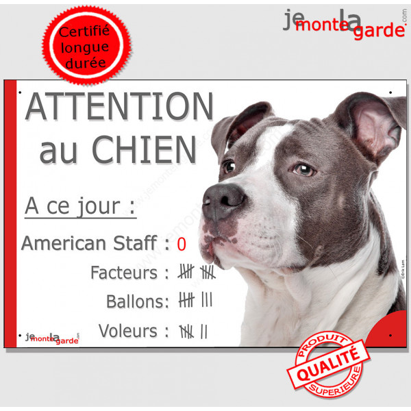 Amstaff Bleu Tête, Pancarte Portail drôle "Attention au chien, nombre de Facteurs, Voleurs, ballons" plaque am-staff Staff gris