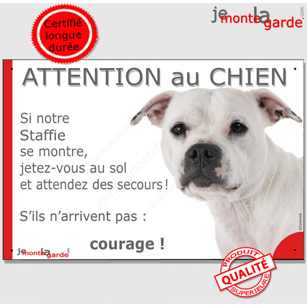 Staffie tout blanc, plaque humour " Jetez Vous au Sol, Attention au Chien, courage" pancarte panneau bull staffordshire Terrier