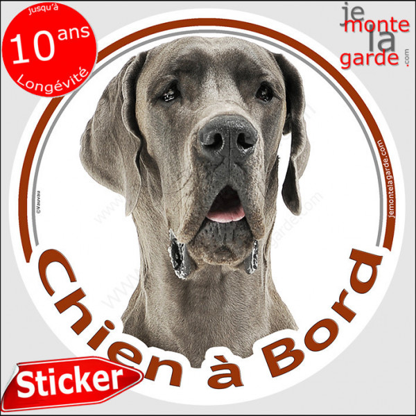 Dogue Allemand gris bleu, sticker autocollant rond "Chien à Bord" Disque adhésif photo Danois race