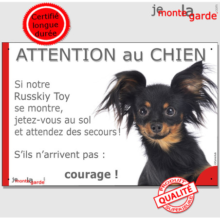 Russkiy Toy noir et feu, petit chien russe, plaque portail humour "Attention au Chien, Jetez Vous au Sol, attendez secours" phot