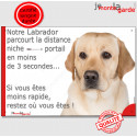 Labrador Sable, plaque "distance Niche - Portail" 24 cm 3SEC