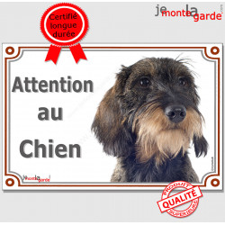 Teckel poils durs sanglier Tête, plaque portail "Attention au Chien" pancarte panneau marron photo