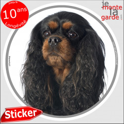 Cavalier King Charles noir et feu, sticker autocollant rond "photo" Disque intérieur ou Extérieur adhésif voiture