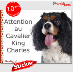 Cavalier King Charles tricolore, panneau photo autocollant "Attention au Chien" pancarte sticker adhésif