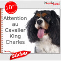 Cavalier, autocollant "Attention au Chien" 16 cm