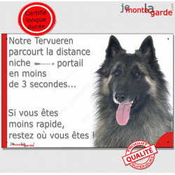 Berger Belge Tervueren, plaque humour "parcourt distance Niche-Portail moins 3 secondes, rapide" pancarte photo attention chien