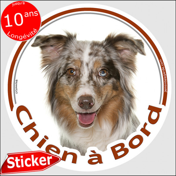 Berger Australien rouge merle Tête, sticker autocollant rond "Chien à Bord" Disque adhésif vitre voiture photo Aussie, résiste p
