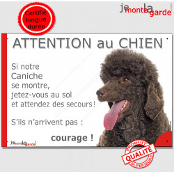 Caniche marron chocolat, plaque portail humour "Attention au Chien, Jetez Vous au Sol, attendez secours, courage" pancarte drôle