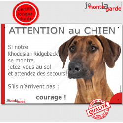 Rhodesian Ridgeback, plaque portail humour "Attention au Chien, Jetez Vous au Sol, attendez secours, courage" pancarte photo