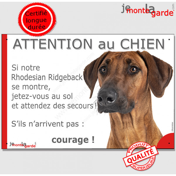 Rhodesian Ridgeback, plaque portail humour "Attention au Chien, Jetez Vous au Sol, attendez secours, courage" pancarte photo