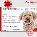 Lagotto Romagnolo, plaque humour "Jetez Vous au Sol, Attention au Chien" 24 cm JET