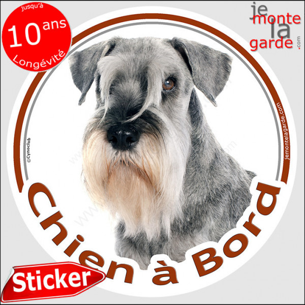 Schnauzer poivre et sel, gris Tête, Sticker autocollant rond "Chien à Bord" disque photo adhésif vitre voiture