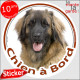 Leonberg, sticker autocollant rond "Chien à Bord" Disque adhésif vitre voiture photo