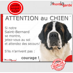 St-Bernard Tête, Panneau humour "Attention au Chien, jetez-vous au sol et attendez des secours !" plaque photo marrant drôle
