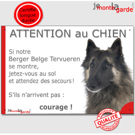 Berger Belge Tervueren, plaque portail humour "Attention au Chien, Jetez Vous au Sol, attendez secours, courage" photo, résiste 