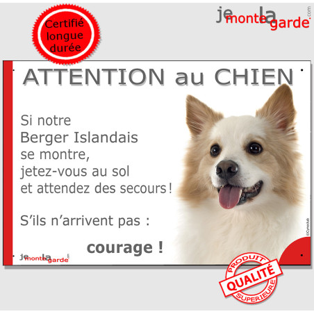 Berger Islandais fauve et blanc, plaque portail humour "Attention au Chien, Jetez Vous au Sol, attendez secours, courage" photo,