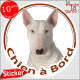 Bull Terrier tout blanc, sticker autocollant rond "Chien à Bord" disque adhésif voiture, vitre auto