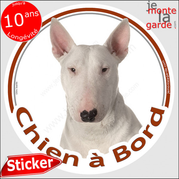 Sticker chat tout blanc - Sticker A moi