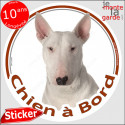 Bull Terrier blanc, sticker voiture "Chien à Bord" 2 tailles