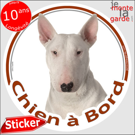 Bull Terrier blanc, sticker voiture "Chien à Bord" 2 tailles Bull Terrier blanc, sticker voiture "Chien à Bord" 2 tailles