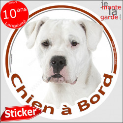 Dogue Argentin, sticker voiture "Chien à Bord" 2 tailles