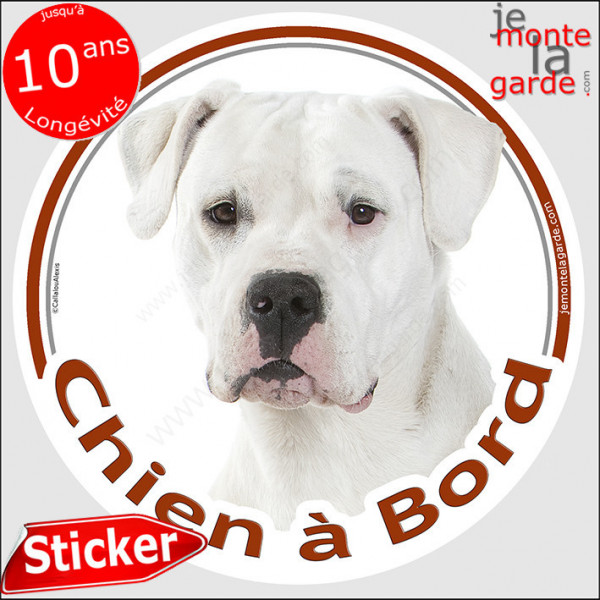 Dogue Argentin Tête, sticker autocollant rond "Chien à Bord" Disque adhésif photo vitre voiture chien Dogo