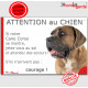 Cane Corso fauve marron, Panneau humour "Attention au Chien, se montre, jetez-vous au sol et attendez des secours" plaque photo