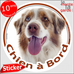 Aussie, sticker voiture "Chien à Bord" 14 cm