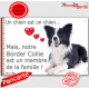 Border Collie Couché, plaque "Un chien est Membre de la Famille" photo panneau idée cadeau cadre pancarte affiche