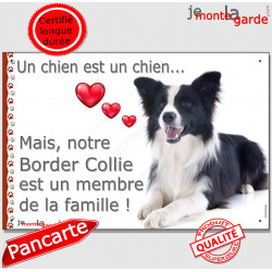 Border Collie couché, plaque "Membre de la Famille" 24 cm LOV