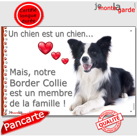 Border Collie Couché, plaque "Un chien est Membre de la Famille" photo cadre, résiste pluie soleil gel, idée cadeau