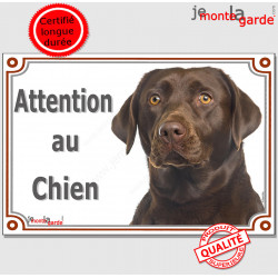 Labrador chocolat tête, plaque portail "Attention au Chien" pancarte panneau photo Labradore Retriever marron brun