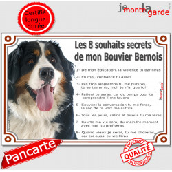 Bouvier Bernois Tête, Plaque Portail Les 8 Souhaits Secrets, pancarte, affiche panneau, commandements éducation