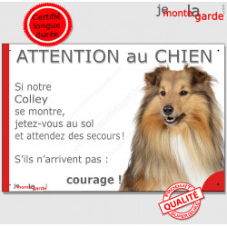 Colley fauve, plaque portail humour "Attention au Chien, Jetez Vous au Sol, secours, courage" photo Lassie