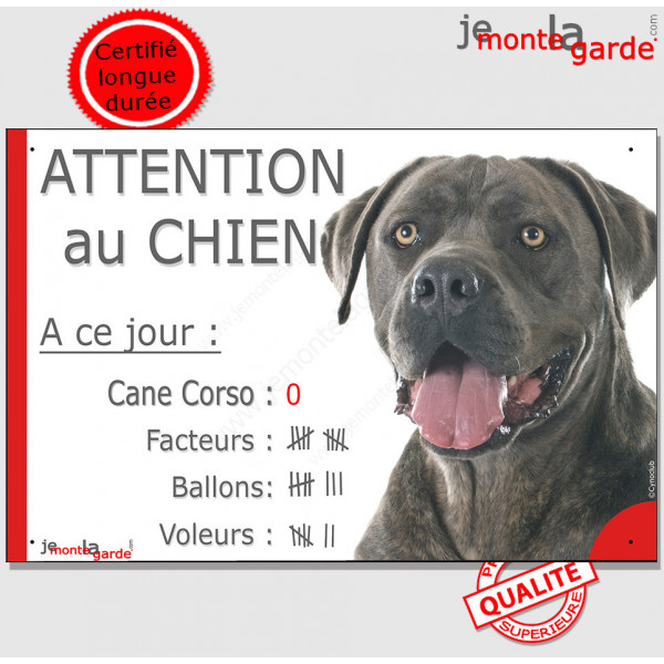 Cane Corso gris gris bleu, Pancarte Portail humour plaque "A ce jour : nombre de Facteurs, Voleurs, Ballons ! attention au chien