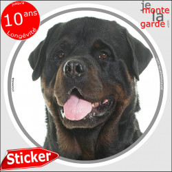 Rottweiler Tête,, sticker autocollant rond "photo" Disque intérieur ou Extérieur, adhésif Rott