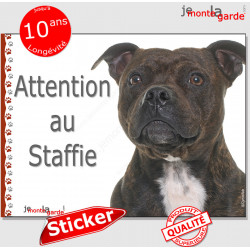 Staffie bringé marron, sticker autocollant "Attention au Chien" Staffordshire Bull Terrier, panneau adhésif photo