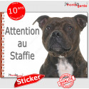 Staffie bringé, autocollant "Attention au Chien" 16 cm