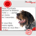 Korthals, plaque humour "distance Niche - Portail" 24 cm 3SEC