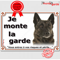 Berger Hollandais noir Tête, plaque portail "Je Monte la Garde, risques et périls" pancarte panneau poils courts photo