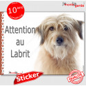 Labrit fauve, autocollant "Attention au Chien" 16 cm