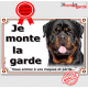 Rottweiler Tête, plaque portail "Je Monte la Garde, risques et périls" panneau pancarte rott attention au chien photo Rott russe