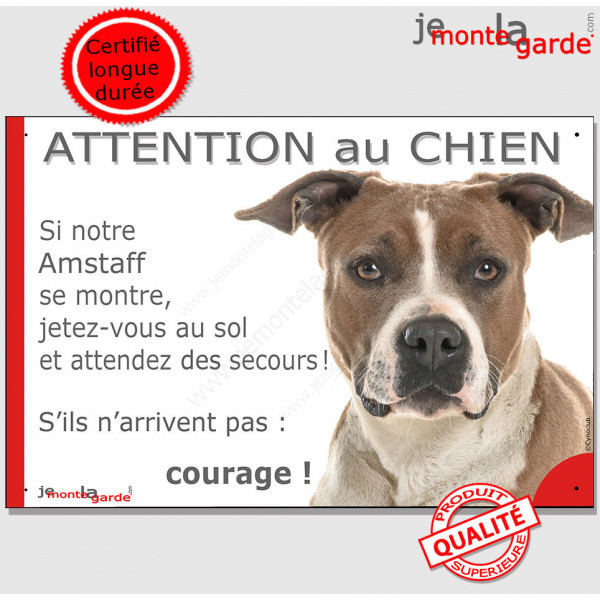 Am-Staff fauve et blanc, plaque portail humour," Attention au chien, jetez Vous au Sol, courage" pancarte drôle panneau marrant