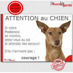 Podenco d'Ibiza, plaque portail humour "Attention au Chien, Jetez Vous au Sol, attendez secours, courage" photo pancarte